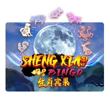 Sheng Xiao Bingo - ADUGAMING