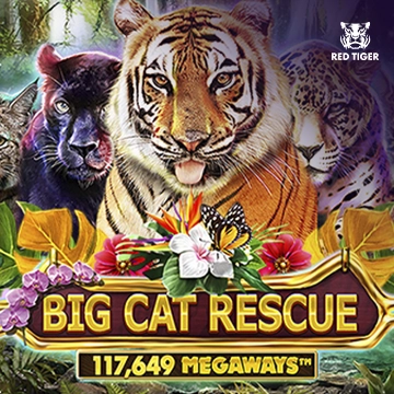 Redtiger : Big Cat Rescue Megaways - ADUGAMING