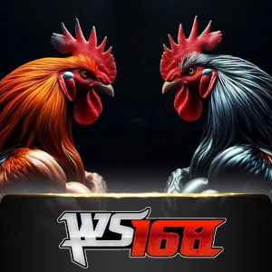 Ws168 Sabung - ADUGAMING