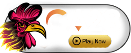 GA28 - ADUGAMING