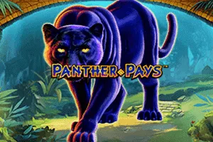 Panther Pays - ADUGAMING