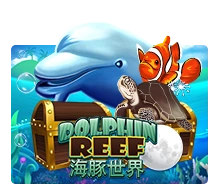 Joker123 : Dolphin Reef - ADUGAMING