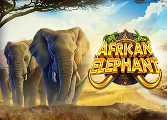Pragmatic : African Elephant - ADUGAMING
